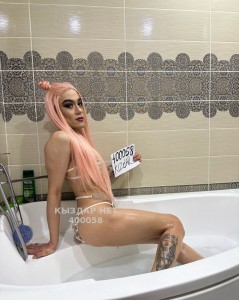 Транс Шымкента Транс№400058 Shahzoda Приват Канал Фотография №3098440